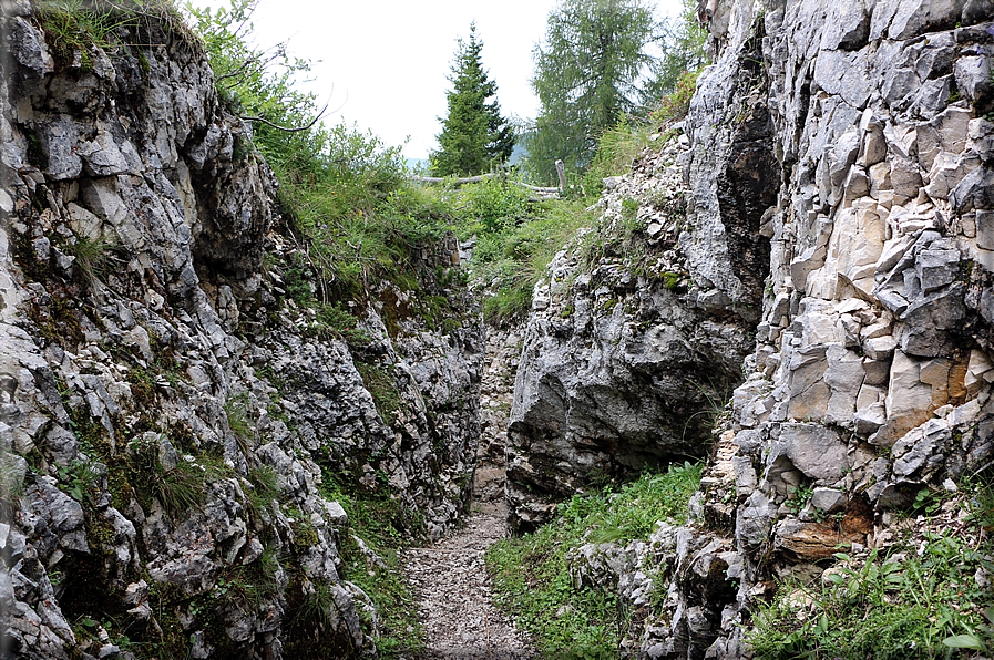 foto Trincee sul Monte Lozze